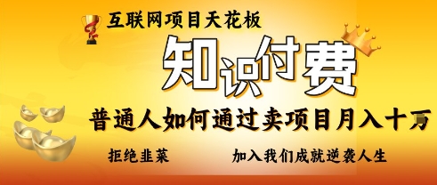 互联网项目天花板，知付付费项目，普通人如何通过卖项目月入十个，拒绝韭菜【揭秘】-青年云网创—高质量项目商城