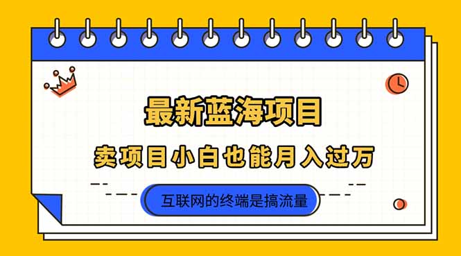 （14289期）2025年最新蓝海项目，卖项目小白也能月入过万-青年云网创—高质量项目商城