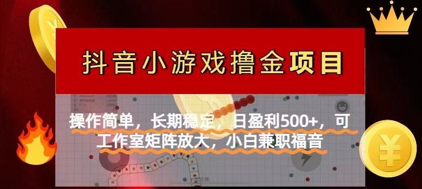 （14290期）【抖音小游戏发行人计划项目】操作简单，长期稳定，日盈利500+，可工作…-青年云网创—高质量项目商城